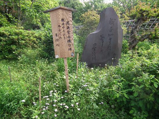 トリップアドバイザー提供