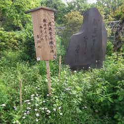 トリップアドバイザー提供