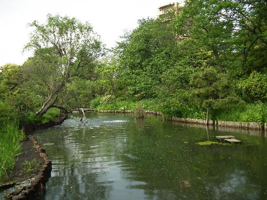 トリップアドバイザー提供