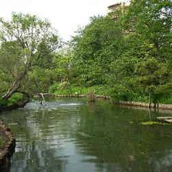 トリップアドバイザー提供