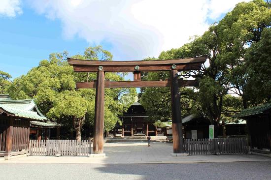 トリップアドバイザー提供