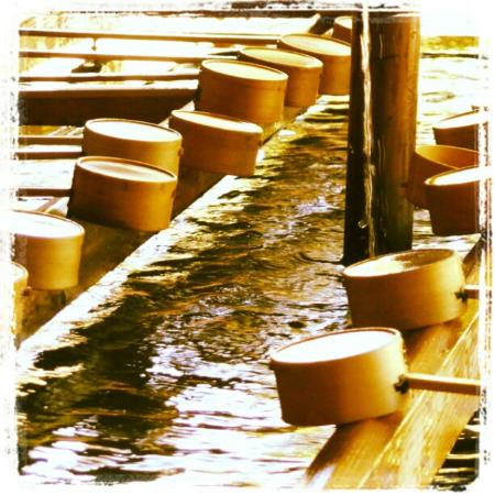 トリップアドバイザー提供