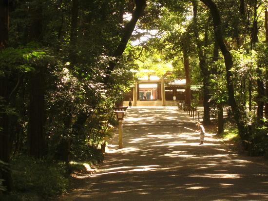 トリップアドバイザー提供