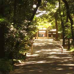 トリップアドバイザー提供