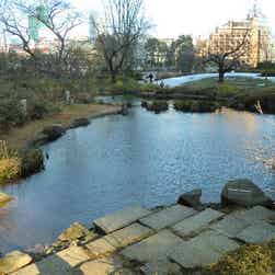 トリップアドバイザー提供