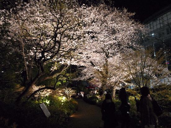 トリップアドバイザー提供