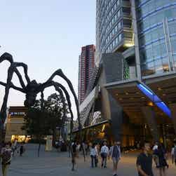 トリップアドバイザー提供