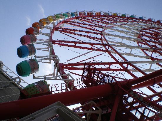 トリップアドバイザー提供