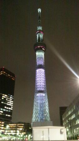 トリップアドバイザー提供