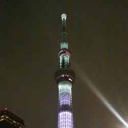 トリップアドバイザー提供