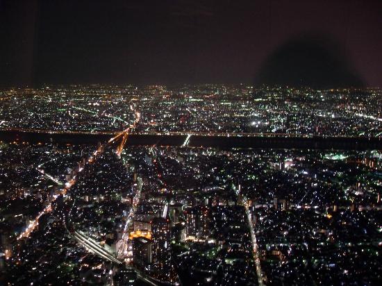 トリップアドバイザー提供