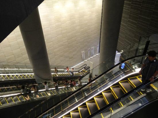 トリップアドバイザー提供