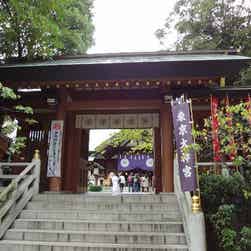 トリップアドバイザー提供