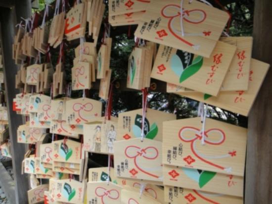 トリップアドバイザー提供