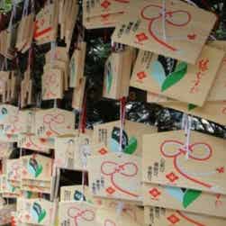 トリップアドバイザー提供