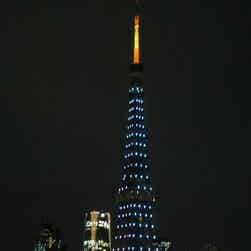 トリップアドバイザー提供