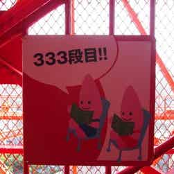 トリップアドバイザー提供