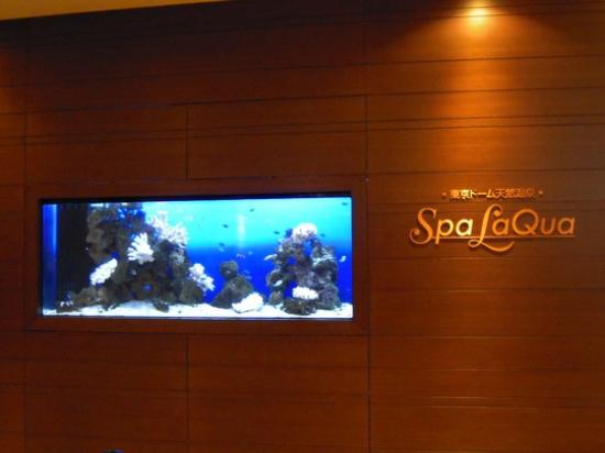 トリップアドバイザー提供