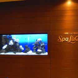 トリップアドバイザー提供