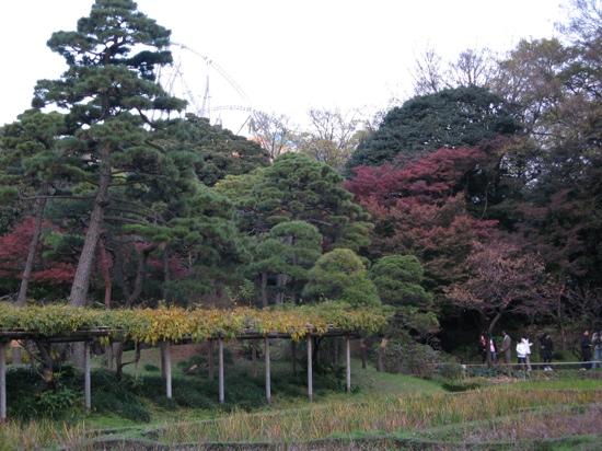 トリップアドバイザー提供