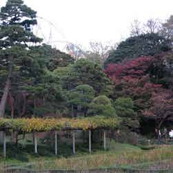 トリップアドバイザー提供