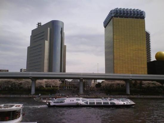 トリップアドバイザー提供