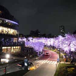 トリップアドバイザー提供