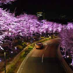 トリップアドバイザー提供