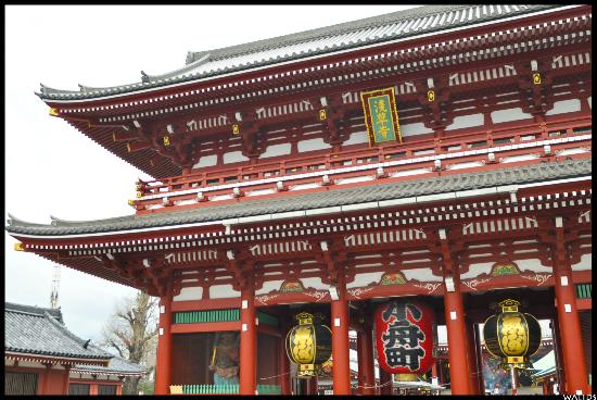 トリップアドバイザー提供