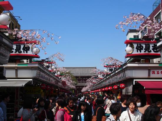 トリップアドバイザー提供