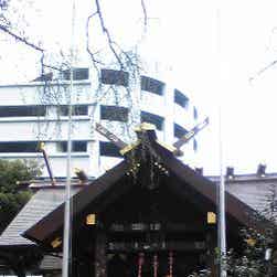 トリップアドバイザー提供