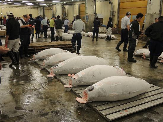 トリップアドバイザー提供