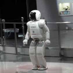 トリップアドバイザー提供