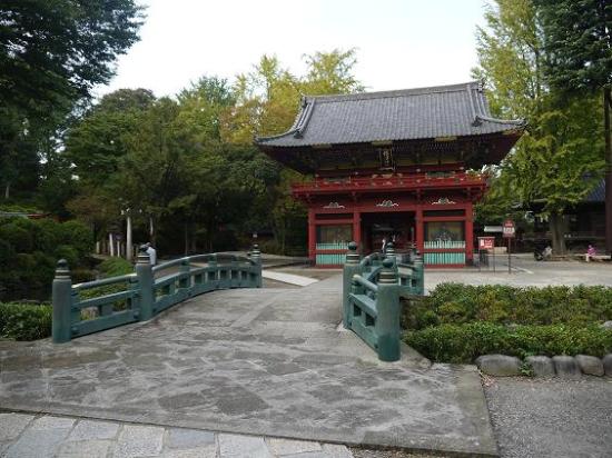 トリップアドバイザー提供