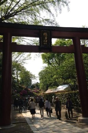 トリップアドバイザー提供