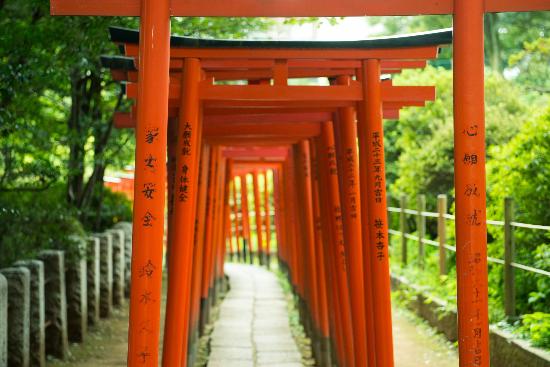 トリップアドバイザー提供