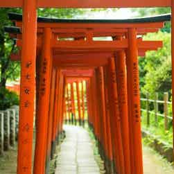 トリップアドバイザー提供