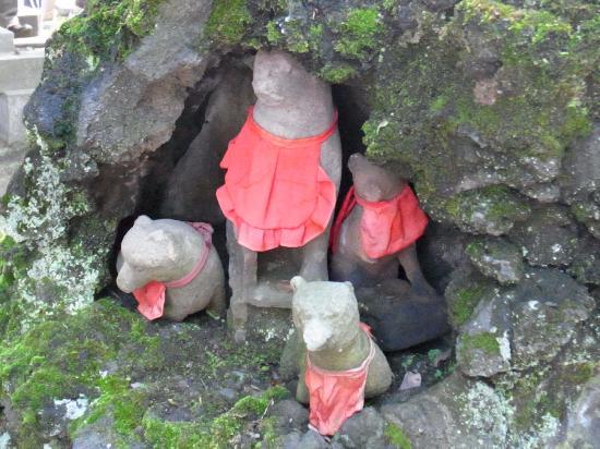 トリップアドバイザー提供