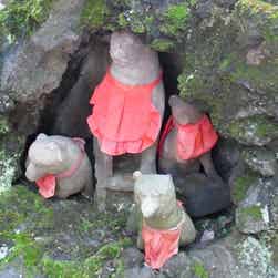 トリップアドバイザー提供