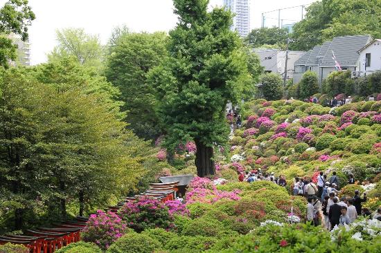 トリップアドバイザー提供