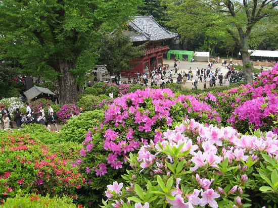 トリップアドバイザー提供