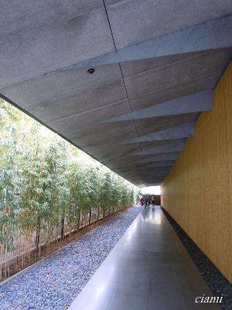 トリップアドバイザー提供