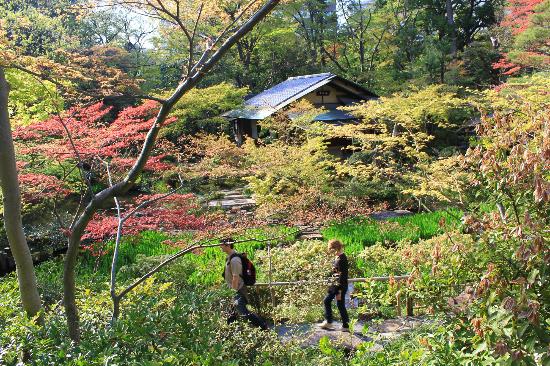 トリップアドバイザー提供