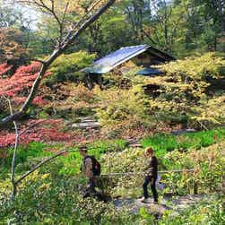 トリップアドバイザー提供