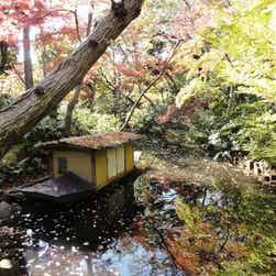 トリップアドバイザー提供