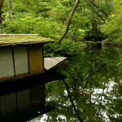 トリップアドバイザー提供