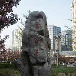 トリップアドバイザー提供