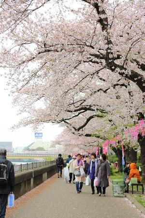「トリップアドバイザー提供」