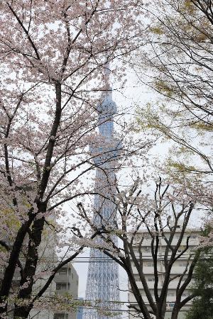 「トリップアドバイザー提供」