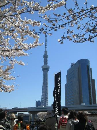 「トリップアドバイザー提供」